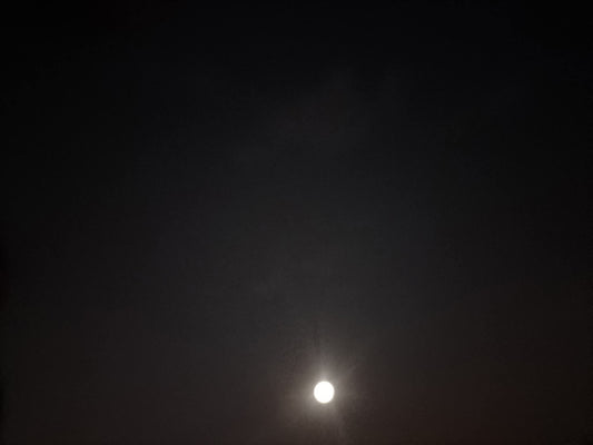 La ciencia y la descripcion del mundo